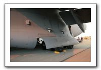 IMG_6593