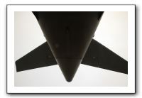 IMG_6598