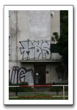 IMG_4939