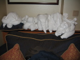 my towel menagerie