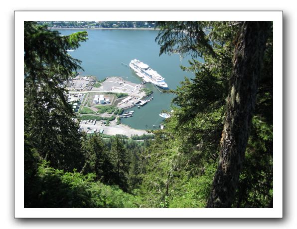 Serenade of the Seas from Mt. Hunter