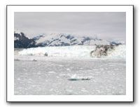 more ice